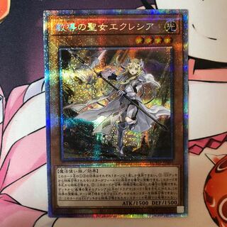 教導の聖女エクレシア PSE