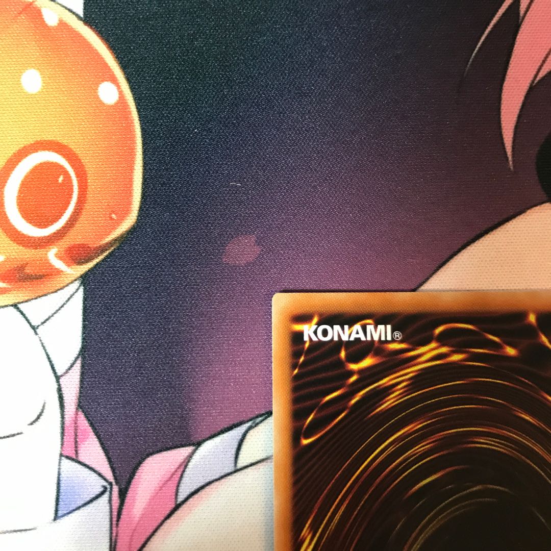 教導の聖女エクレシア PSE