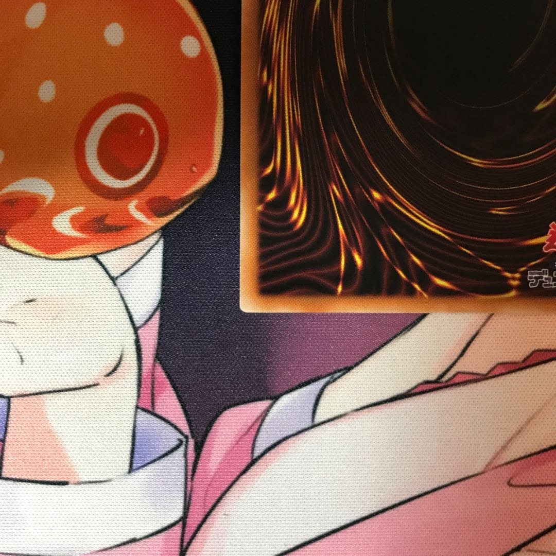 教導の聖女エクレシア PSE