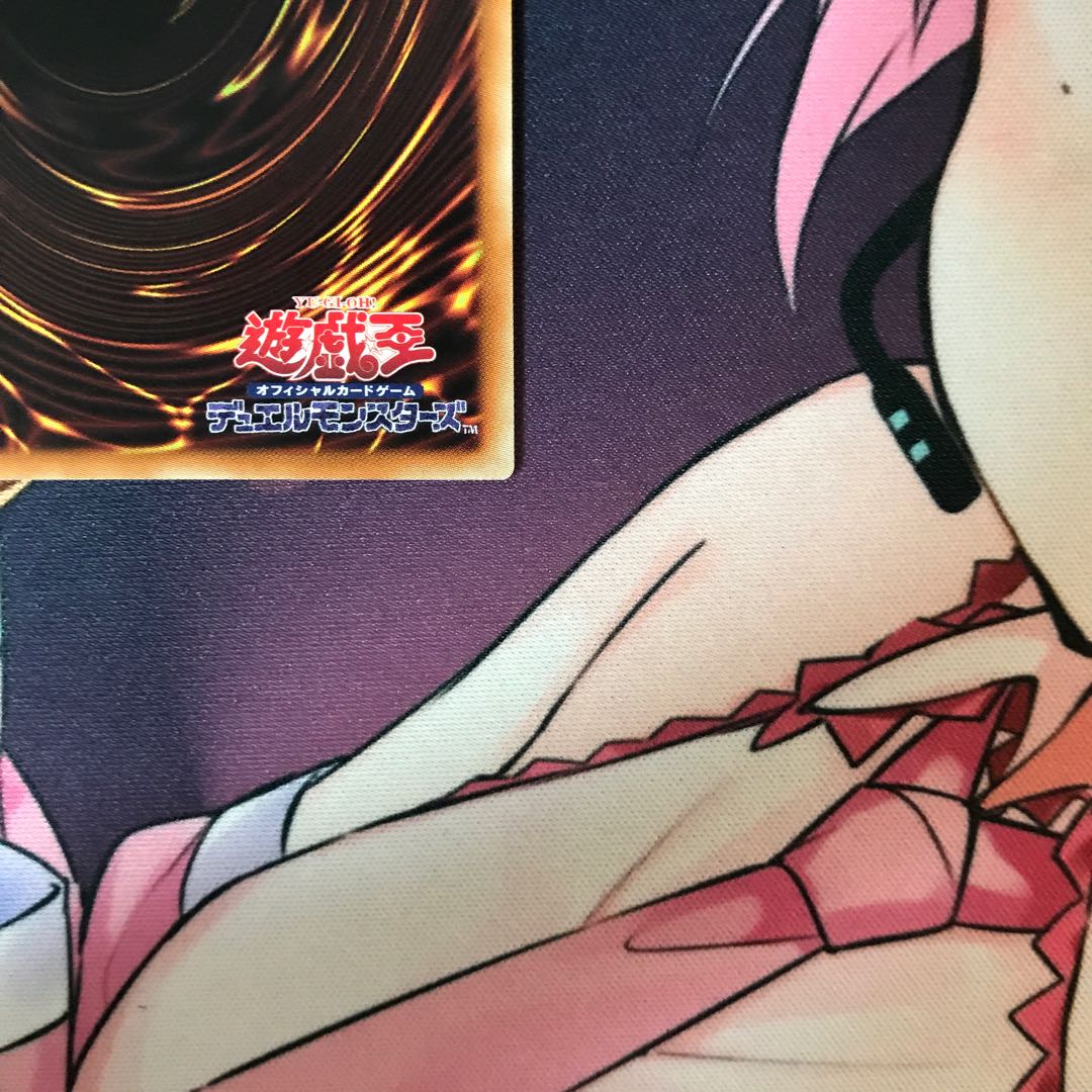 教導の聖女エクレシア PSE