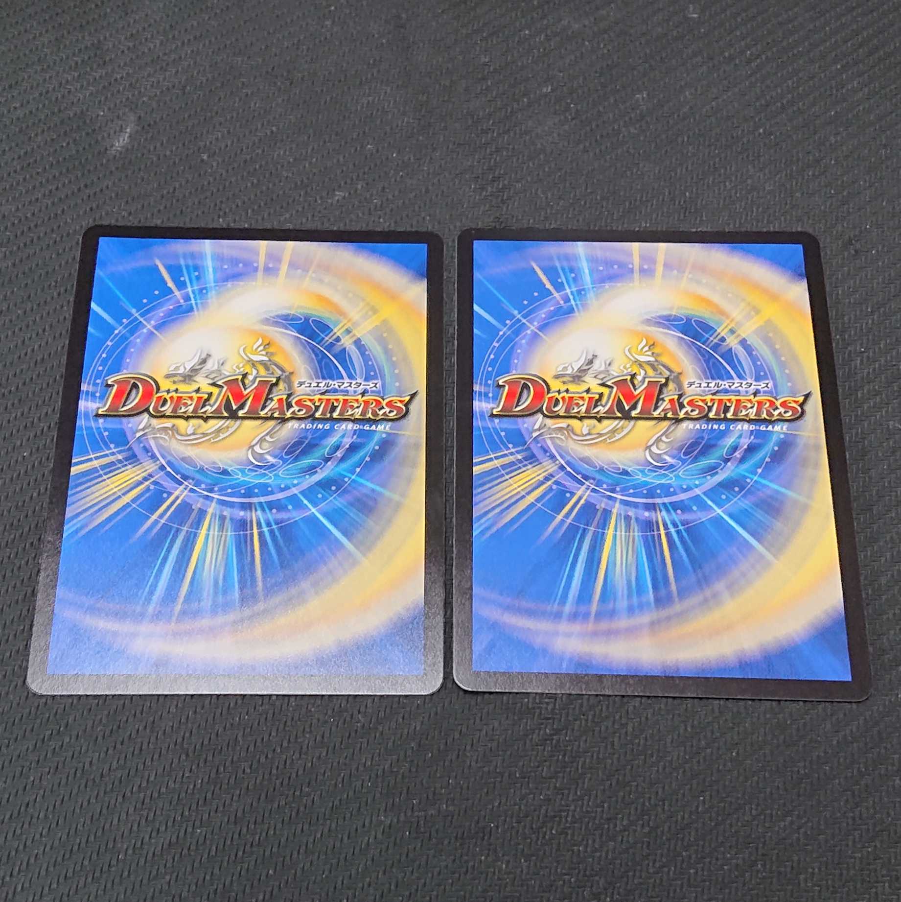 「絶対の楯騎士」 RP13 2枚セット 【00102-38】