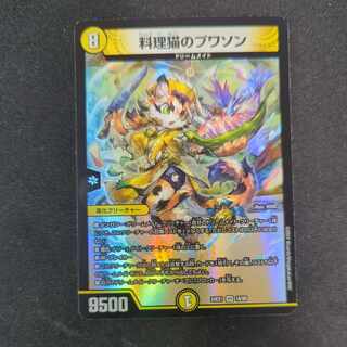 Cooking Cat Puisson VR 16/89