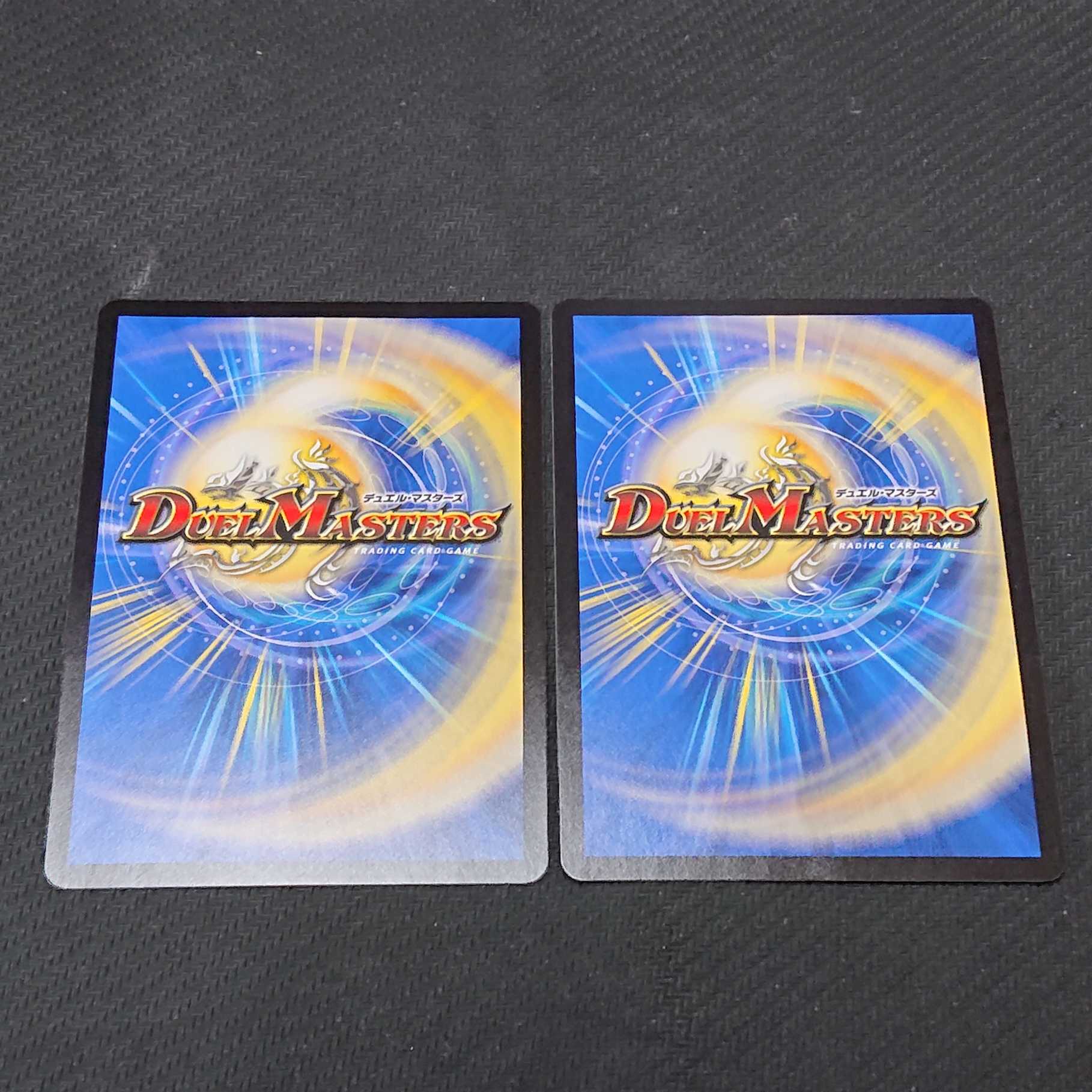 「絶対の楯騎士」 RP13 2枚セット 【00103-38】