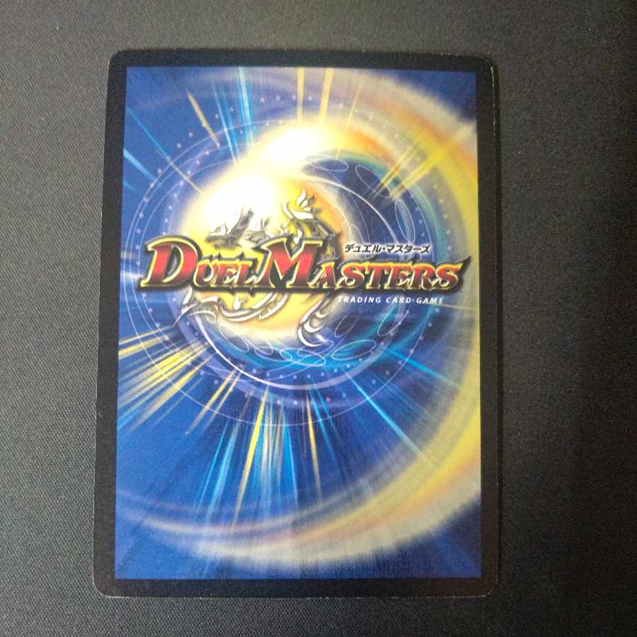 Bolvarzak Ex SR P23/Y15