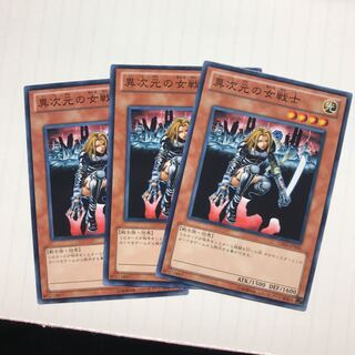 異次元の女戦士