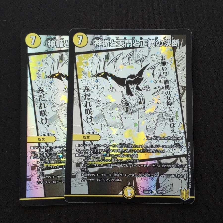 The Divine Plaque, the Heavenly Gate, and the Decision of Justice SR 22/50