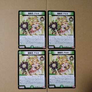 爆翠月 アカネ R 21/76