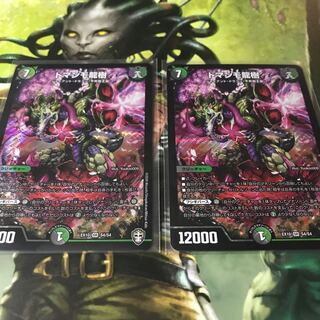 ドマンモ龍樹　2枚セット