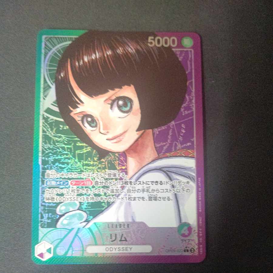 Rim (parallel) P-L OP09-022