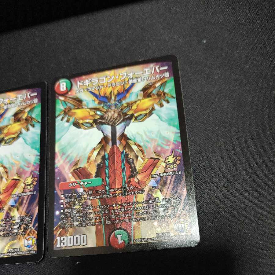 Dogiragon Forever P75/Y15