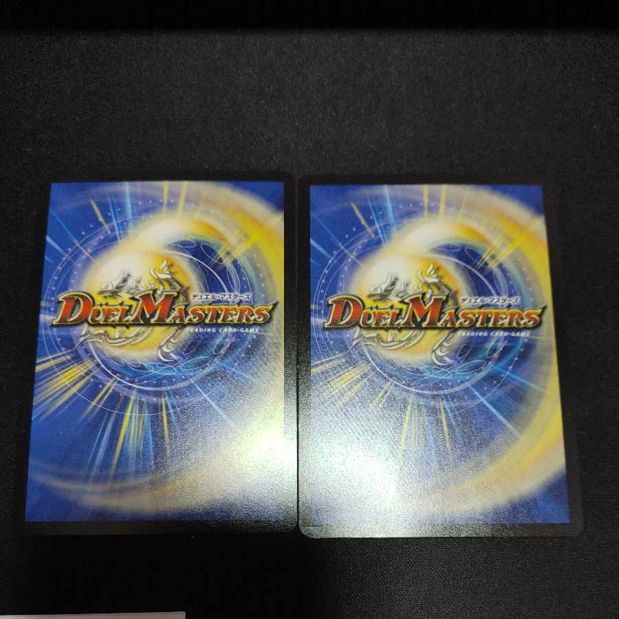 Dogiragon Forever P75/Y15