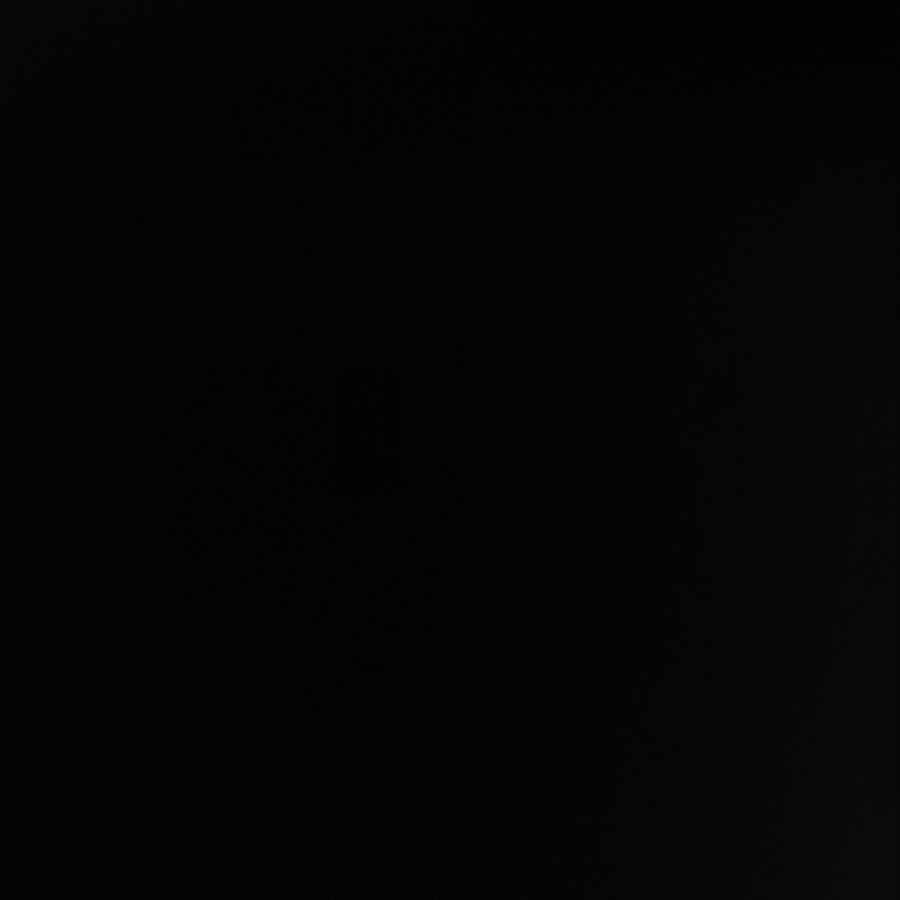 Dogiragon Forever P75/Y15