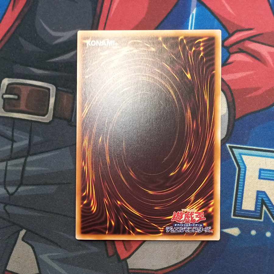 No-P.U.N.K. Seamin QCSE, 25th Sikh QCTB-JP024