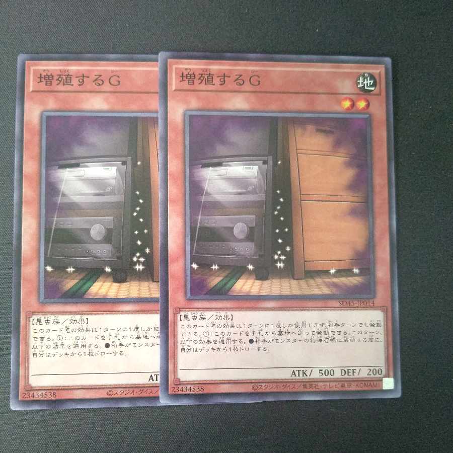 Maxx "C" Normal, set of 2