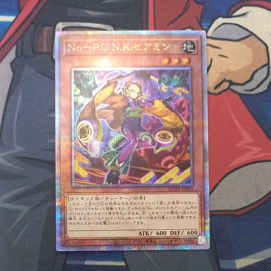 No-P.U.N.K. Seamin QCSE, 25th Sikh QCTB-JP024