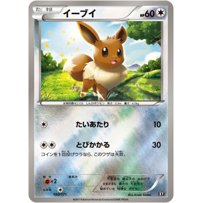[Condition B] Eevee (mirror/high-class pack specification) [-] {100/171}
