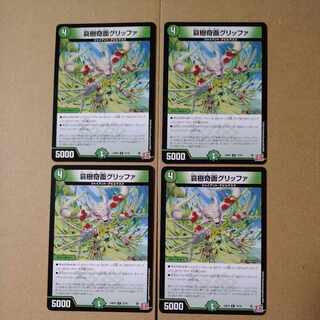 Aiju kikumen griffa C 73/76