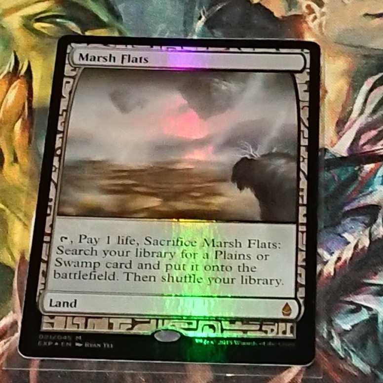 【MTG】湿地の干潟　EXP