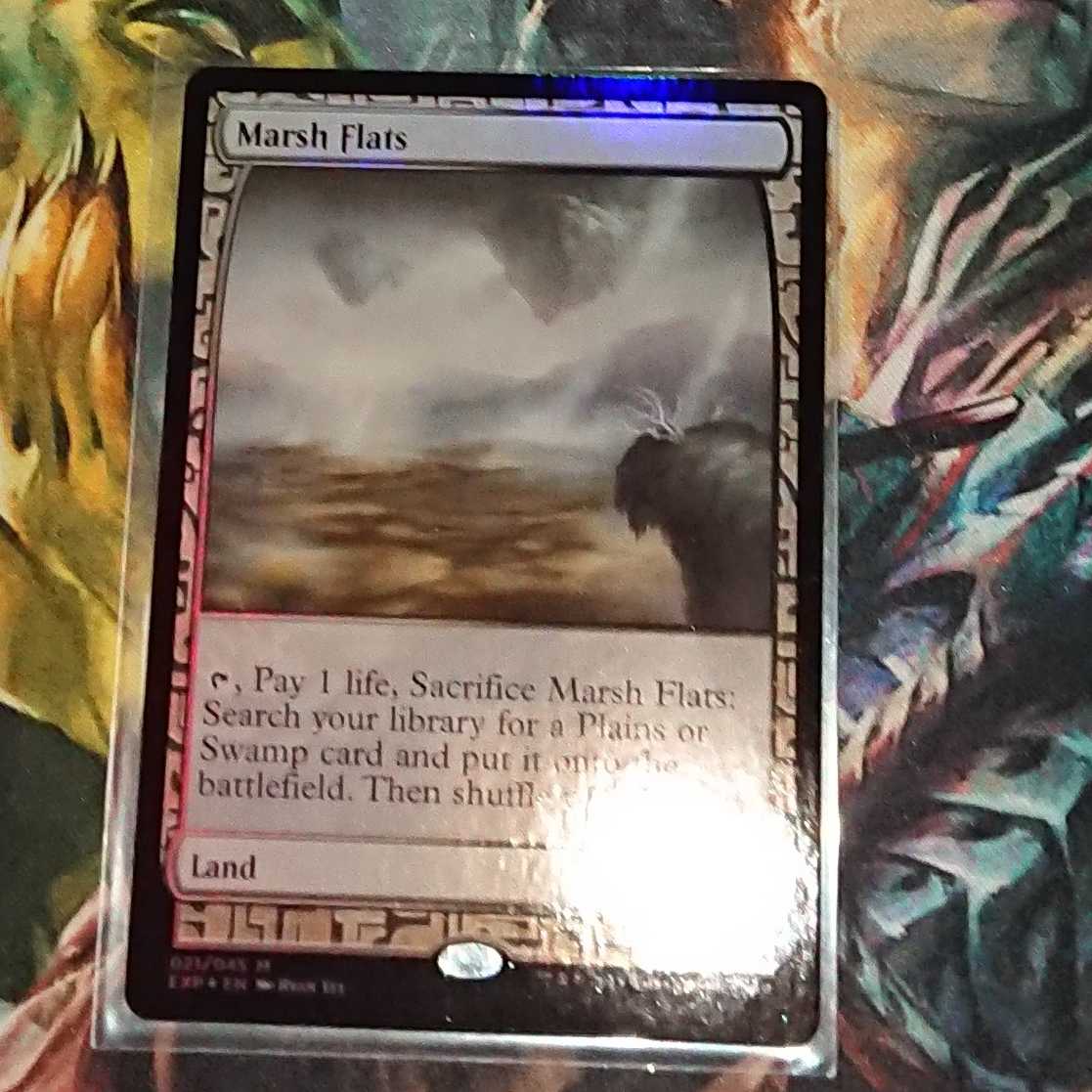 【MTG】湿地の干潟　EXP