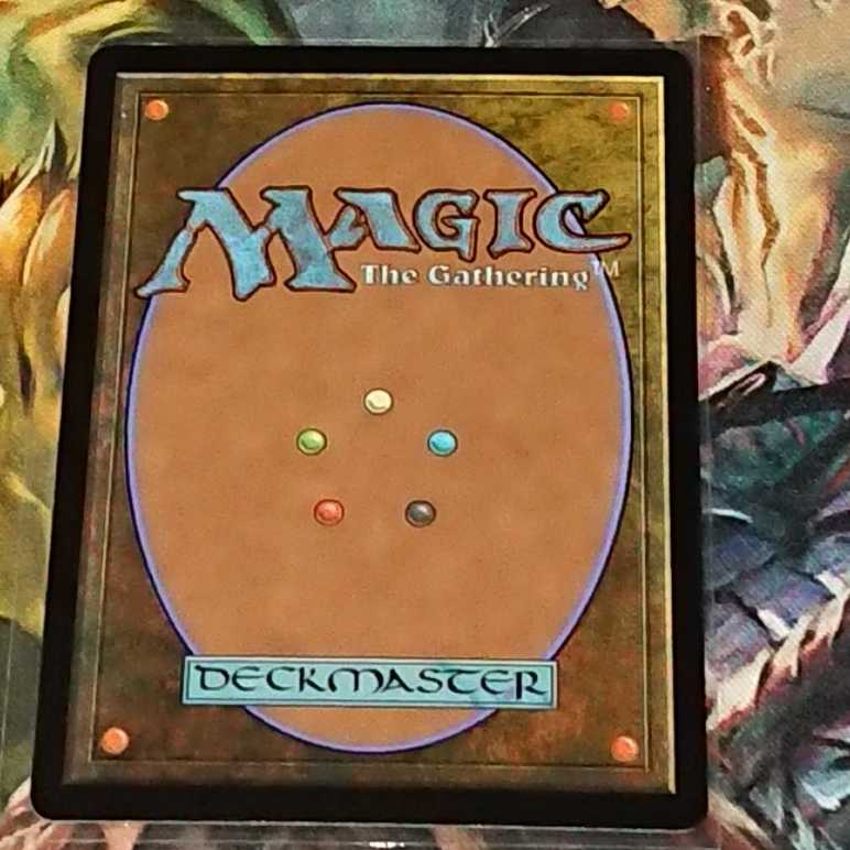 【MTG】湿地の干潟　EXP