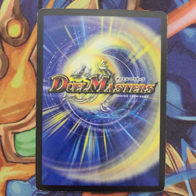 てすらさん専用出品