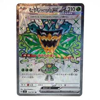 Ogapon Midori-no-men ex SR 114/101