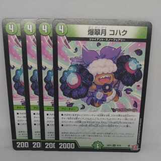 爆翠月 コハク C 74/76