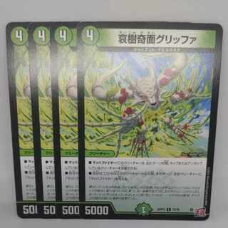 Aiju kikumen griffa C 73/76