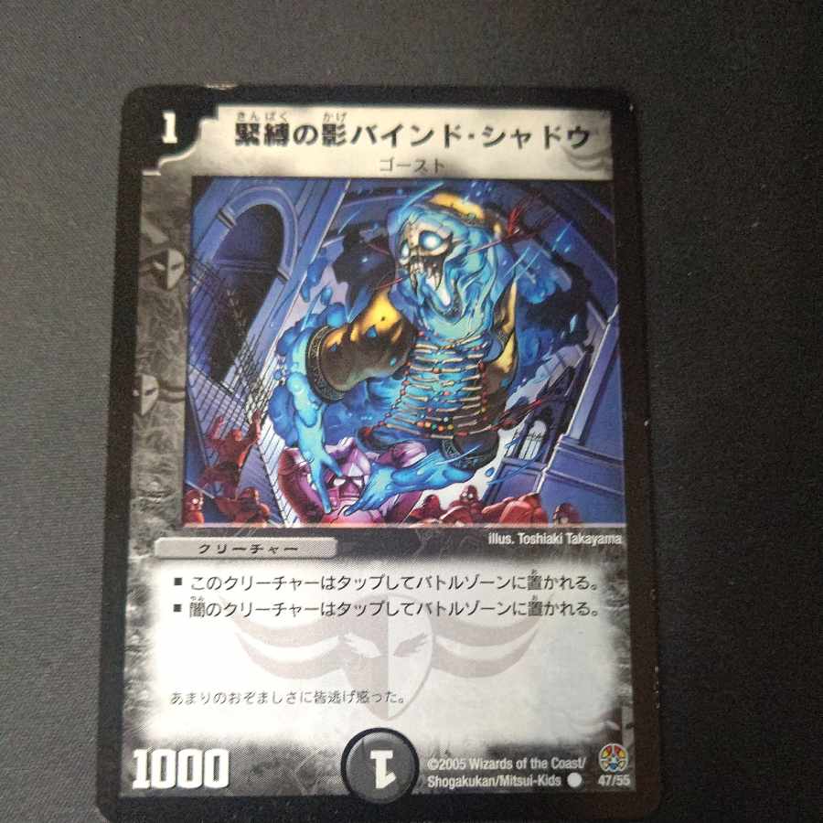 Shadow bound shadow of bondage C 47/55