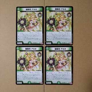 爆翠月 アカネ R 21/76