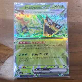 Augapon Midori-no-men ex RR 020/187