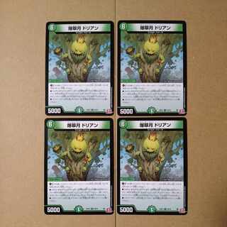 爆翠月 ドリアン U 49/76