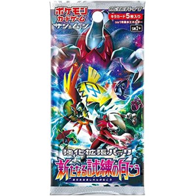 強化拡張パック『新たなる試練の向こう』(SM2+)【未開封パック】{-}の 