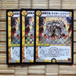 真実の名 タイガー・レジェンド 3枚