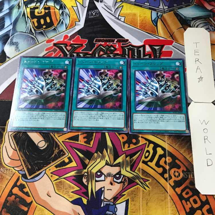 Toon Page-Flip WPP1 2 Rare, set of 3 Tera.