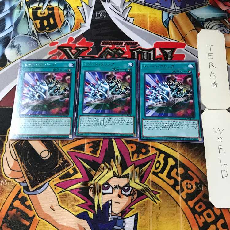 Toon Page-Flip WPP1 3 Rare Set of 3 Tera