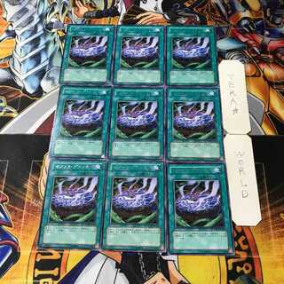 Magic Planter 4 Rare 9-card set Tera