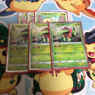 メガニウム そうじゅくハーブ