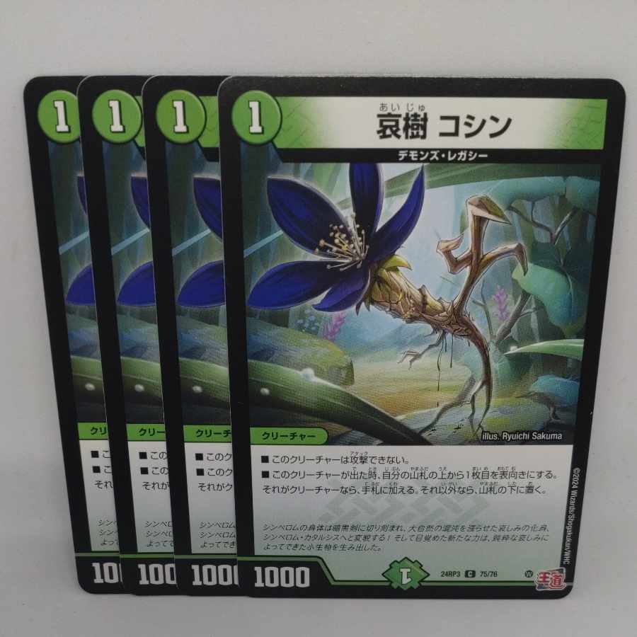 Aiju, Koshin C 75/76