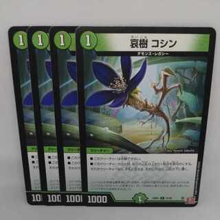 Aiju, Koshin C 75/76