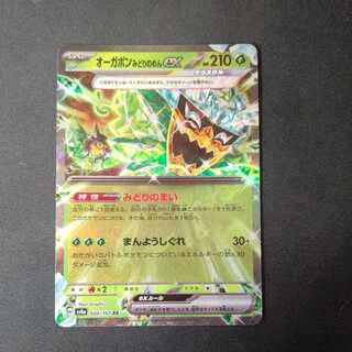 Augapon Midori-no-men ex RR 020/187