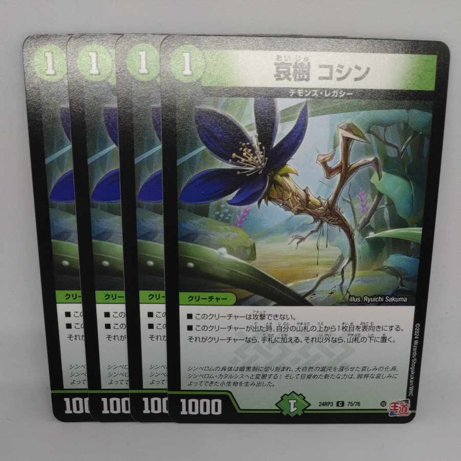 Aiju, Koshin C 75/76