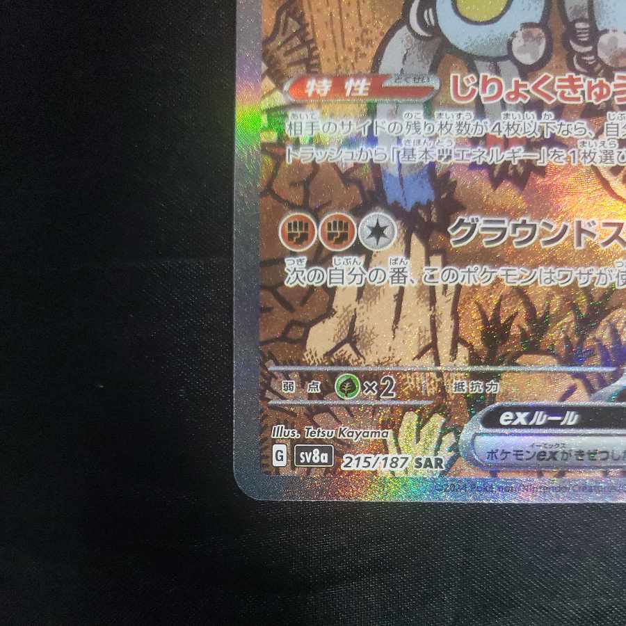 Sunanokegawa ex SAR 215/187