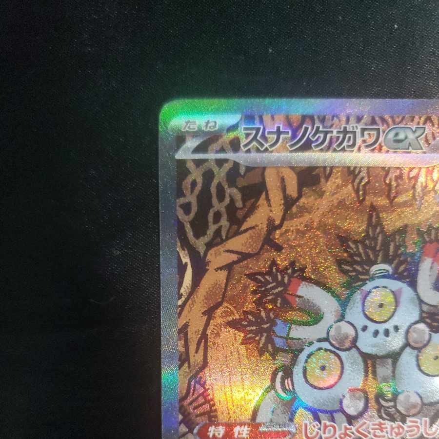 Sunanokegawa ex SAR 215/187