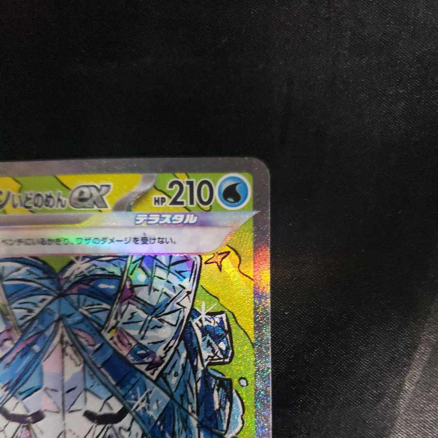 オーガポンいどのめんex SAR 208/187