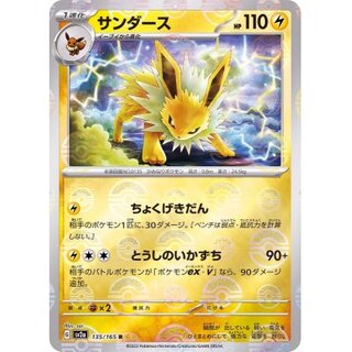 サンダース スター」の激安通販 | magi