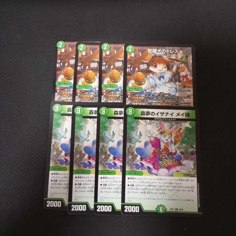 Forest Dreams of Izanai Rosa-sama Catering dog tresses, set of 8