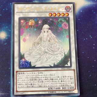 ガーデン・ローズ・メイデン