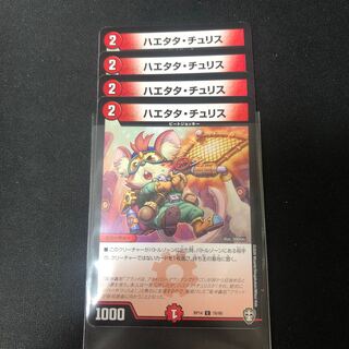 ハエタタ・チュリス　４枚