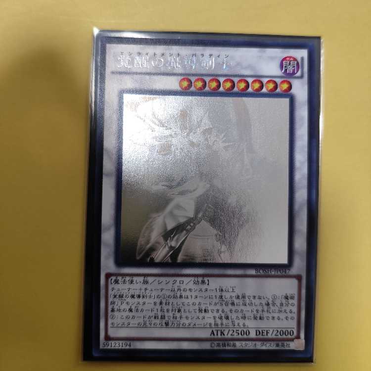 Enlightenment Paladin holographic rare JP047